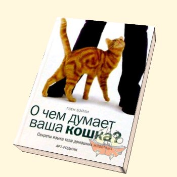 О чем думает ваша кошка_ Секреты языка тела домашн_0.jpg